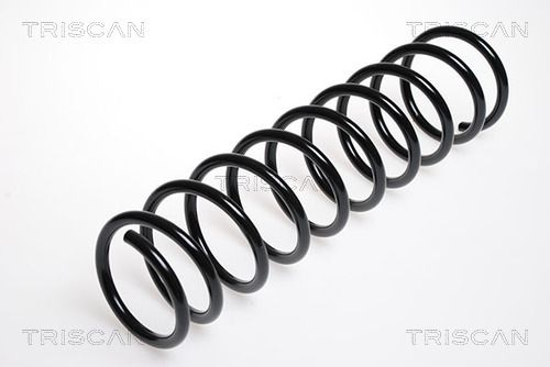 8750 2519 TRISCAN futómű rugó