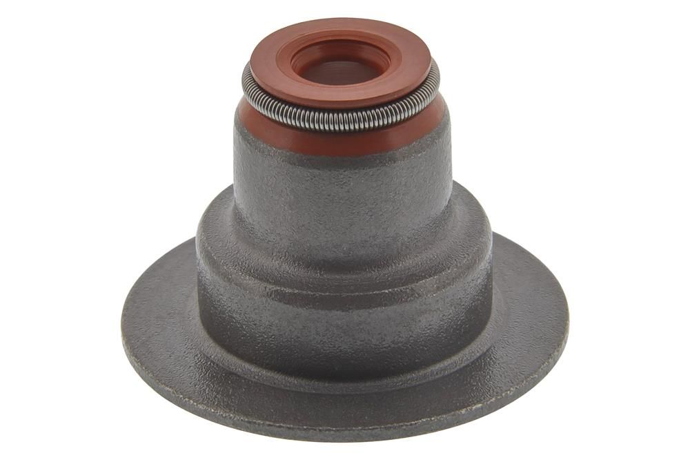 Dichtring, Ventilschaft