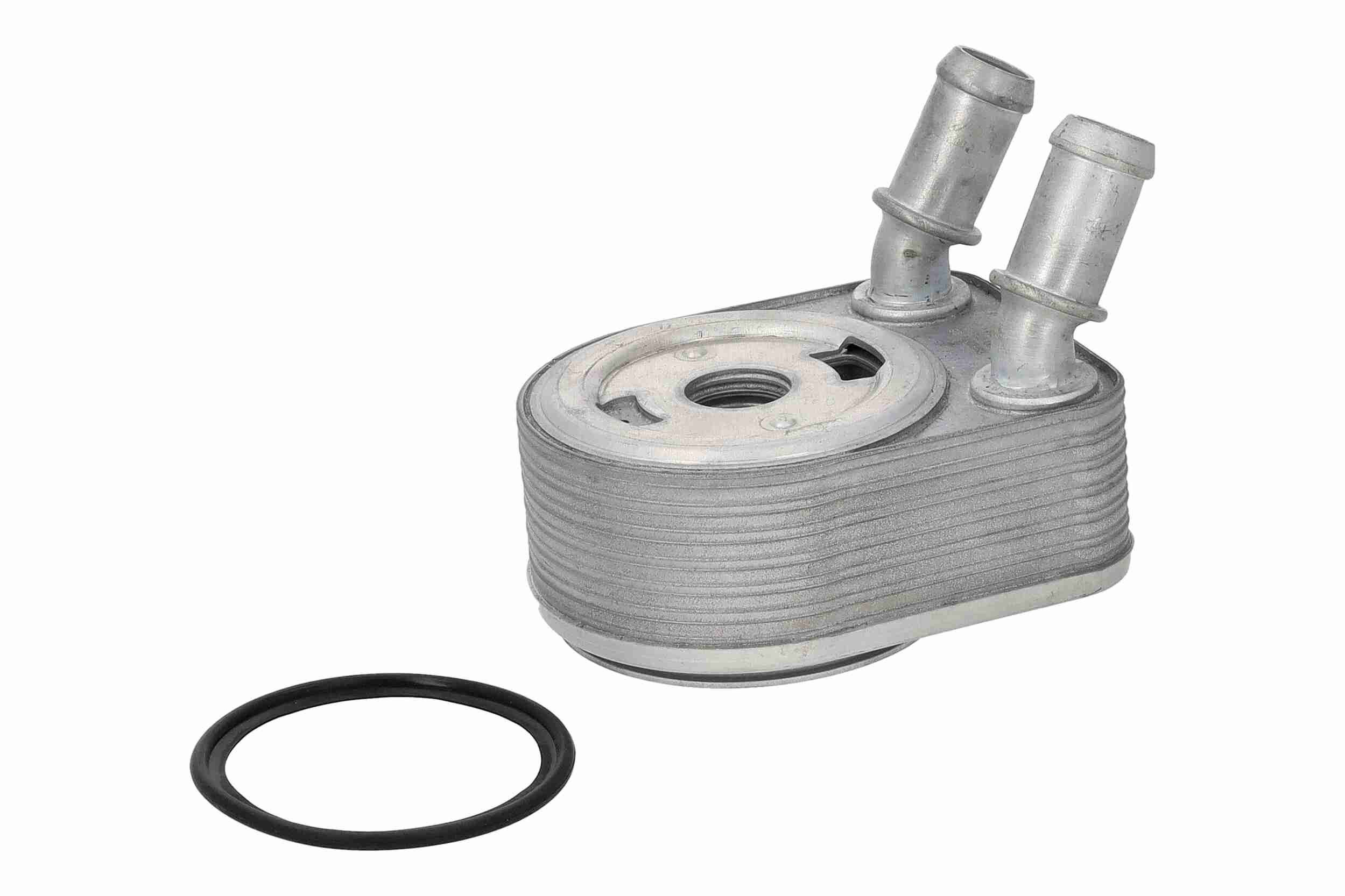 &Ouml;lk&uuml;hler, Motor&ouml;l