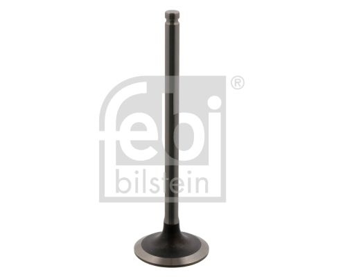 Intake Valve 34385