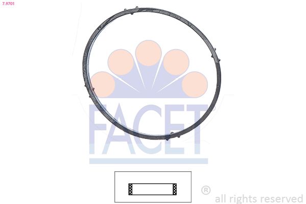 7.9701 FACET Made in Italy - OE Equivalent tömítés, termosztát
