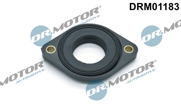 Dr.Motor Automotive DRM01183 Seal, camshaft adjustment