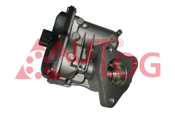 EGR Valve AV6210