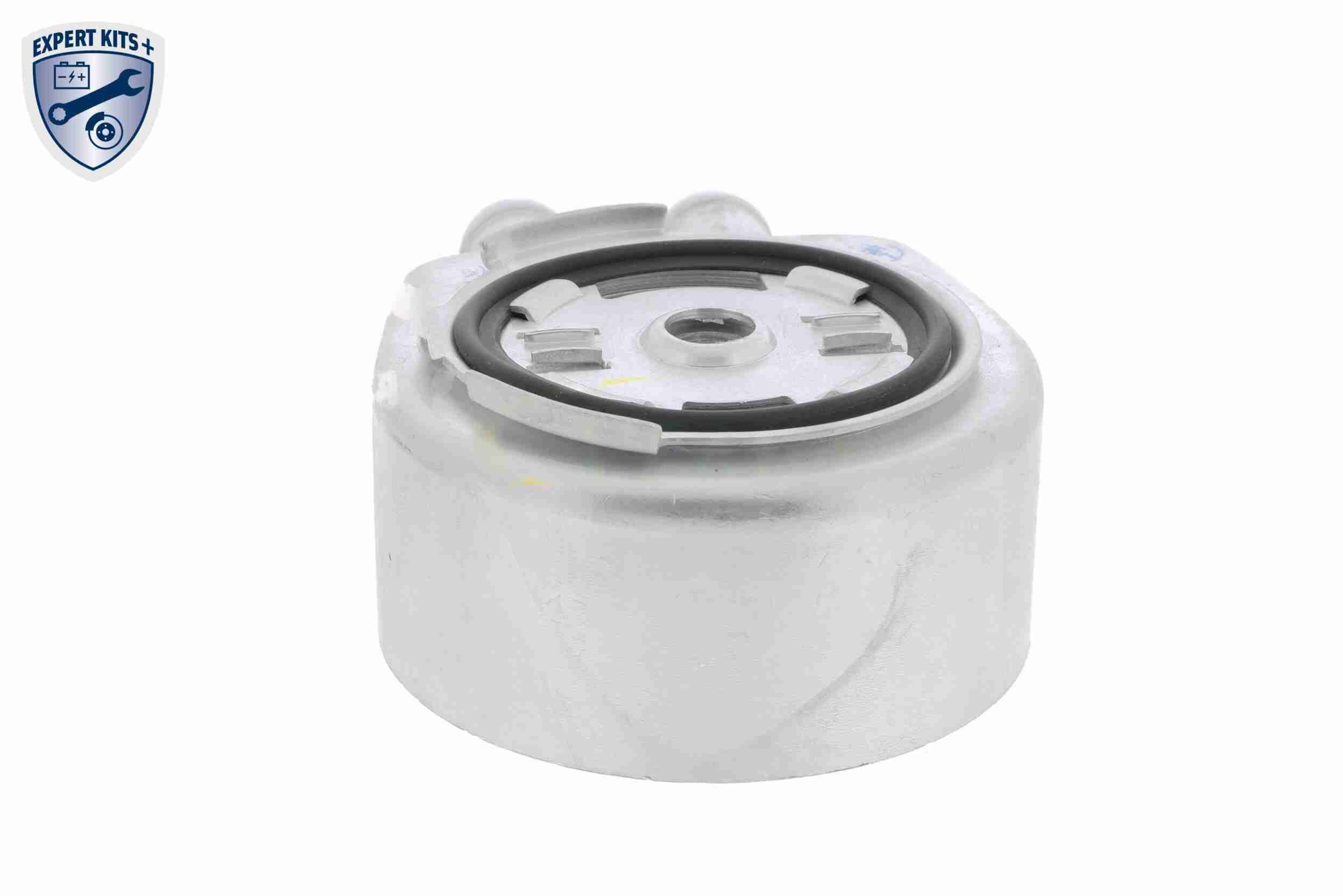 &Ouml;lk&uuml;hler, Motor&ouml;l
