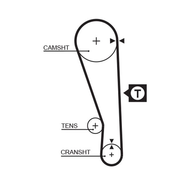 Timing Belt 5036