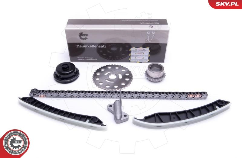 Timing Chain Kit 21SKV193