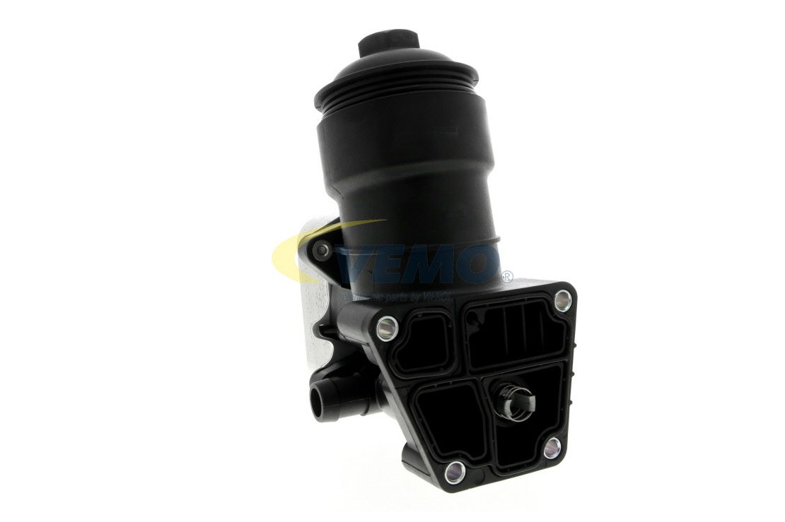 Alyvos filtro modulis