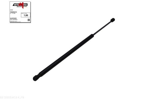 Gasfeder, Koffer-/Laderaum