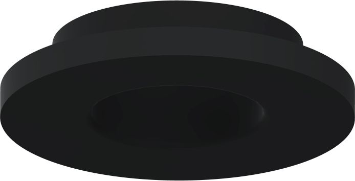 Dichtring