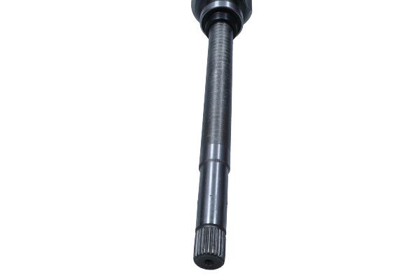 27-0137MG_3_LARGE.JPG