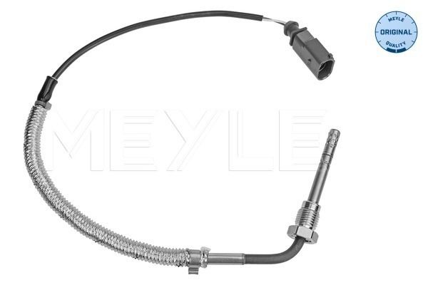 Sensor, Abgastemperatur