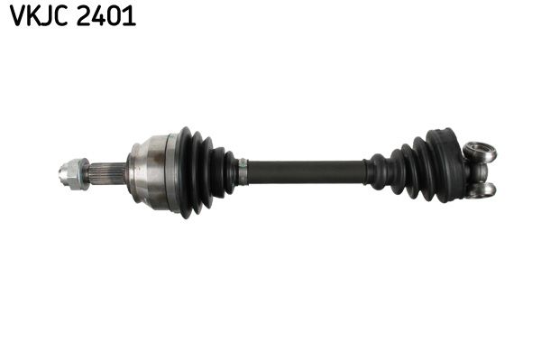 VKJC 2401.JPG