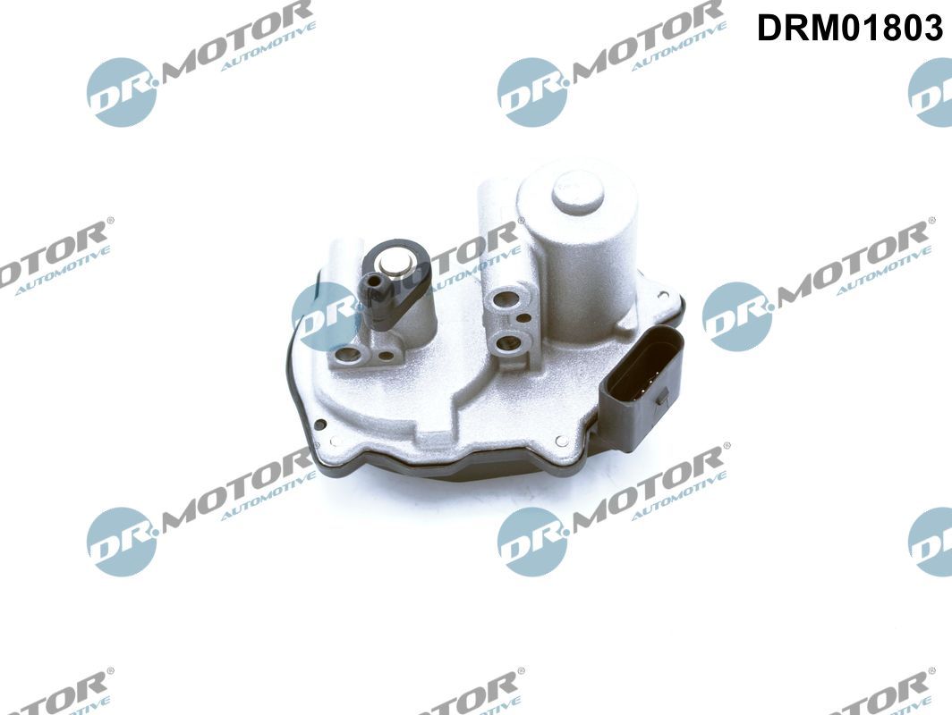 Dr.Motor Automotive DRM01803 - Stellelement, Drallklappen (Saugrohr)