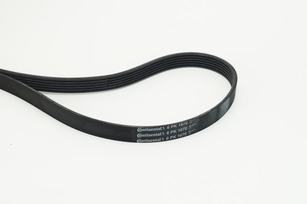 BELTPIC_6PK1670.JPG
