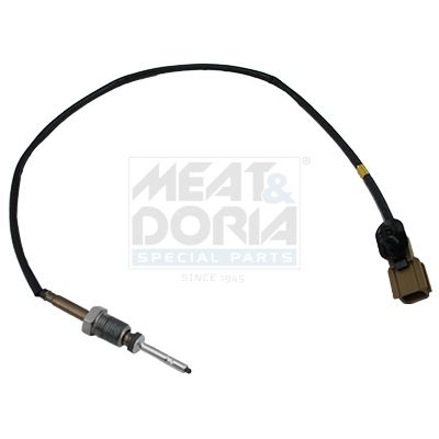 Sensor, Abgastemperatur
