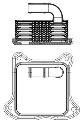 Radiador de aceite, aceite de motor