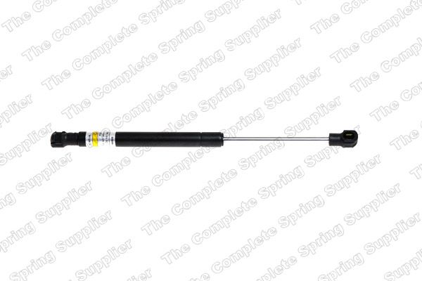 Gasfeder, Koffer-/Laderaum