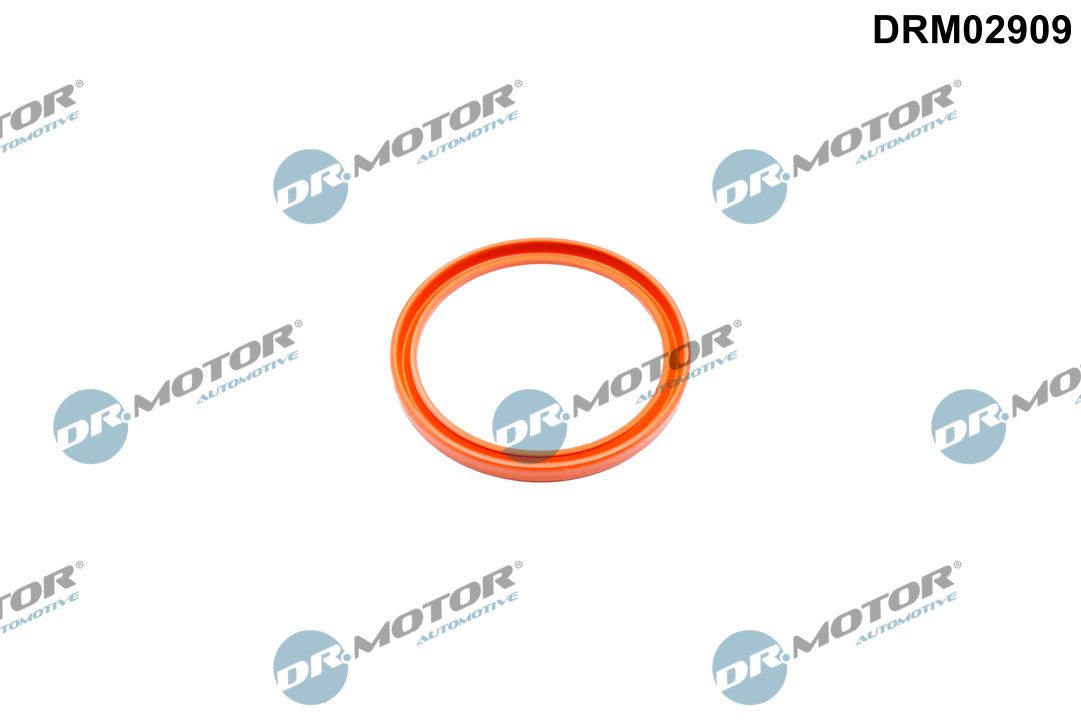 Dr.Motor Automotive DRM02909 Dichtring, Lader