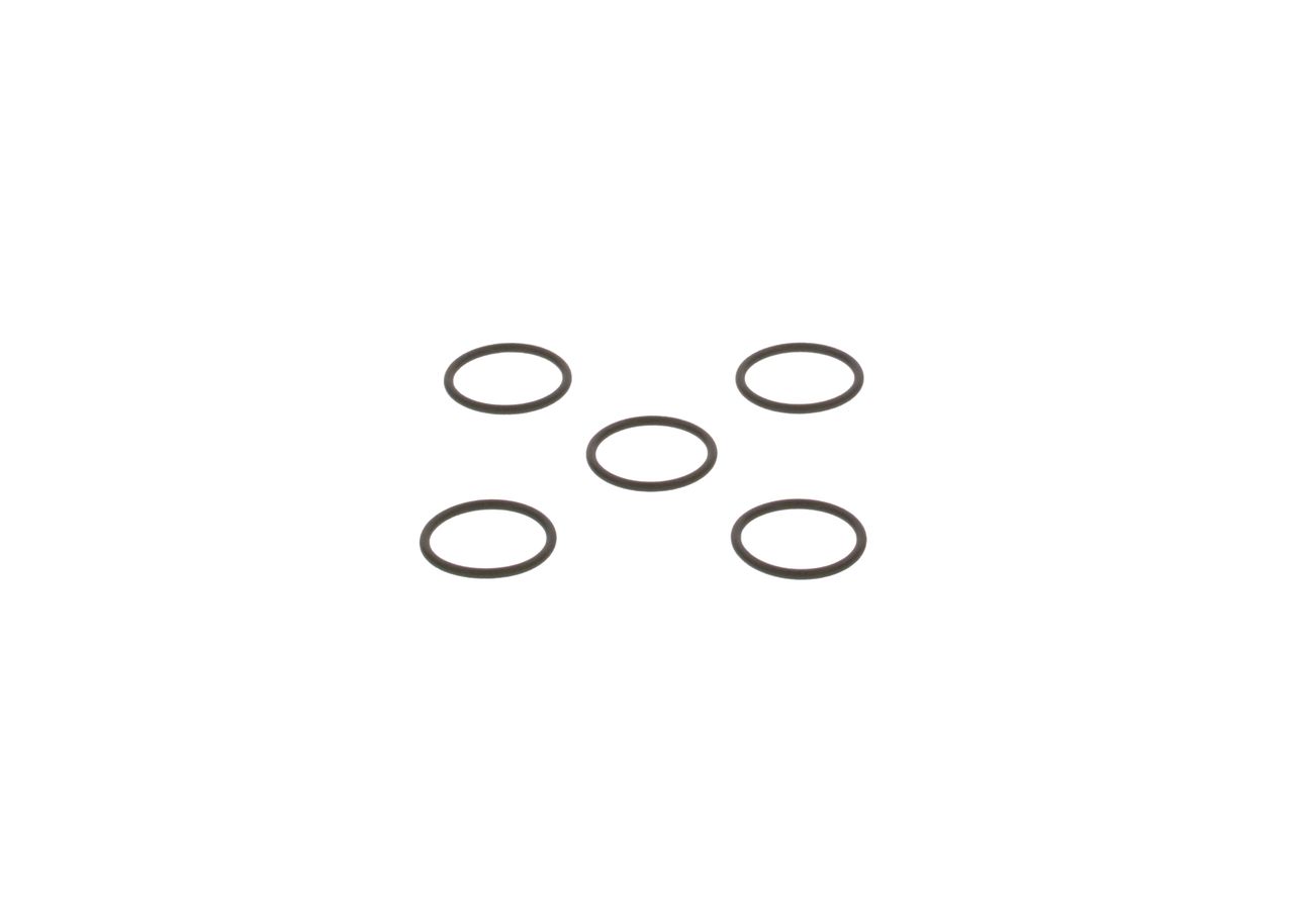 Dichtring