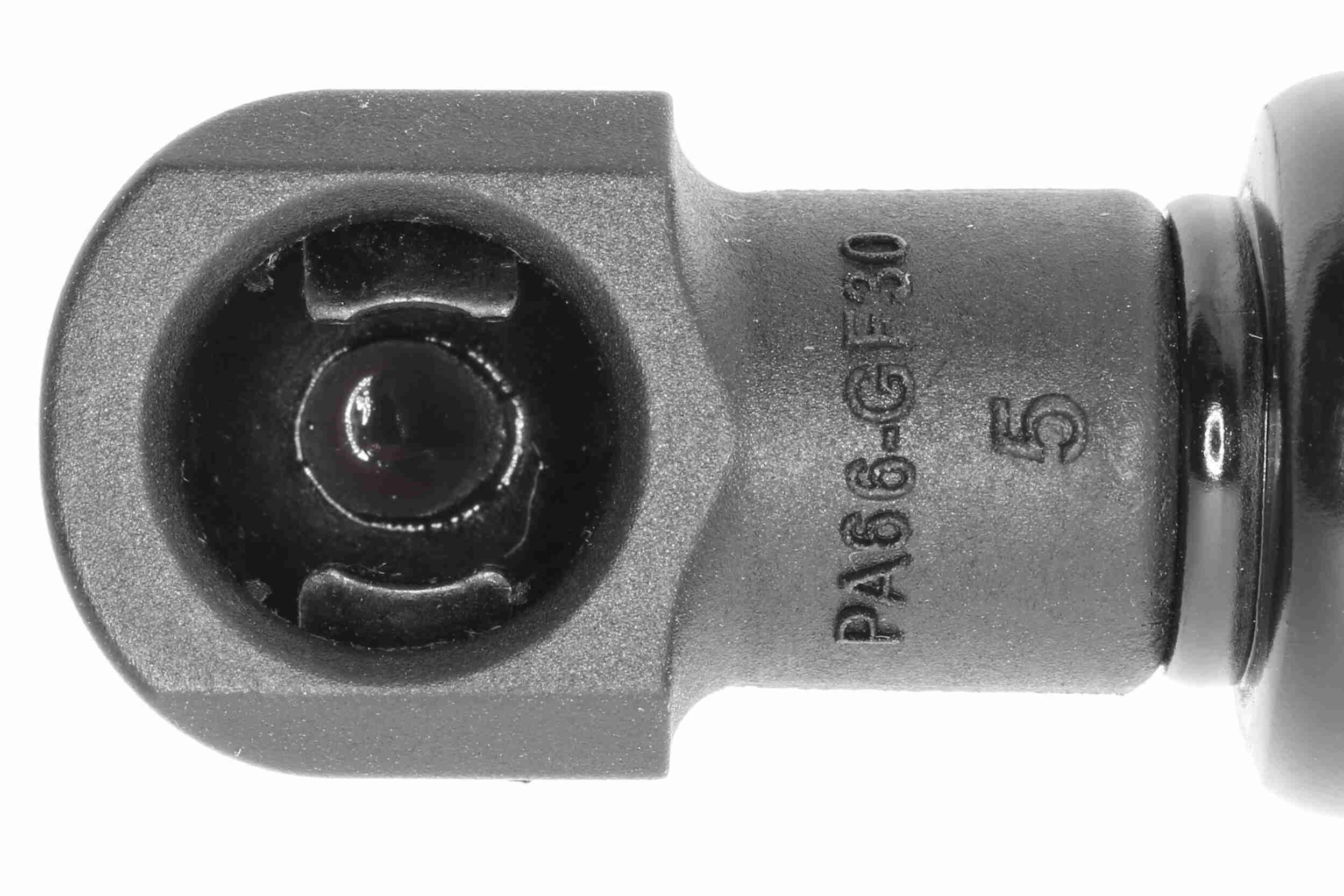 Gasfeder, Koffer-/Laderaum