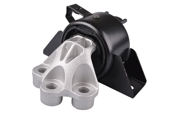 TEDGUM TED81788 - Lagerung, Motor