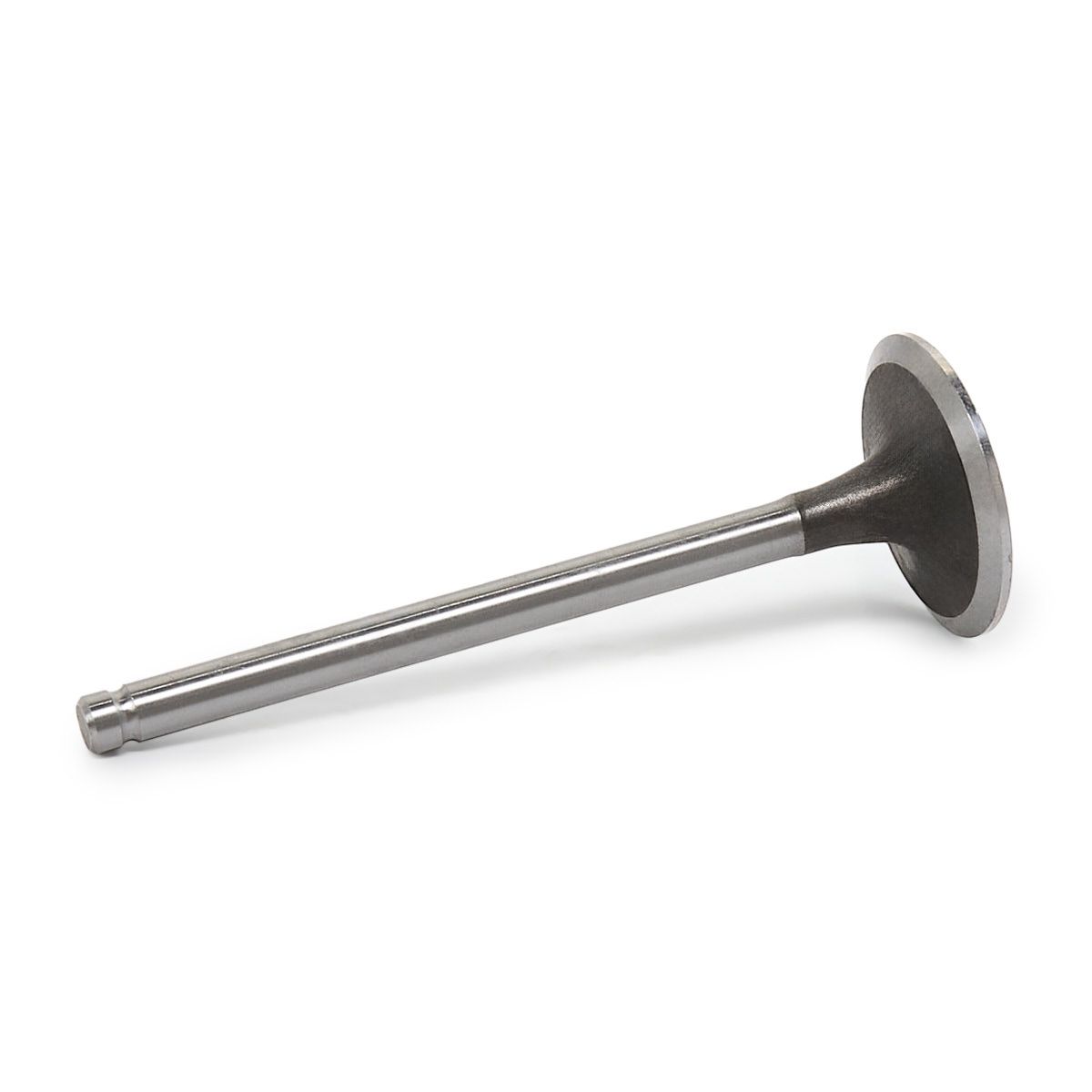 STARK SKINV-3270039 Intake Valve