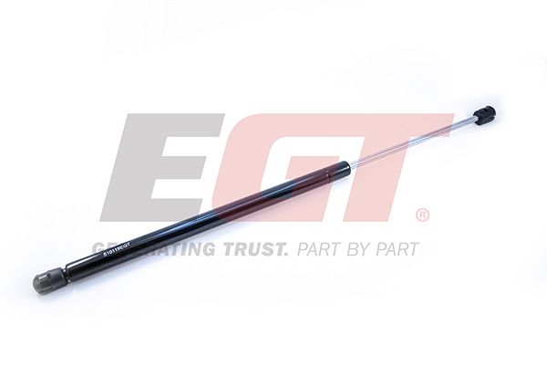 Gas Spring, boot/cargo area 510119EGT