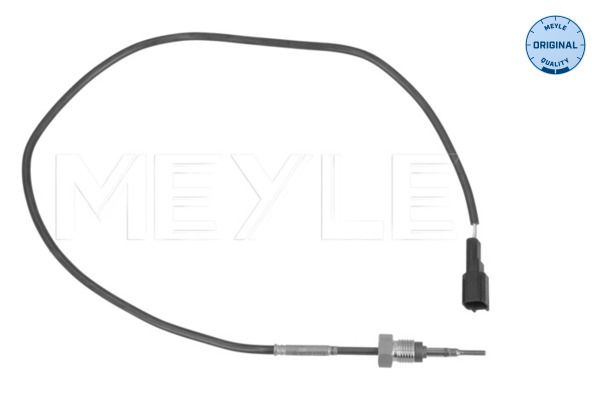 Sensor, Abgastemperatur