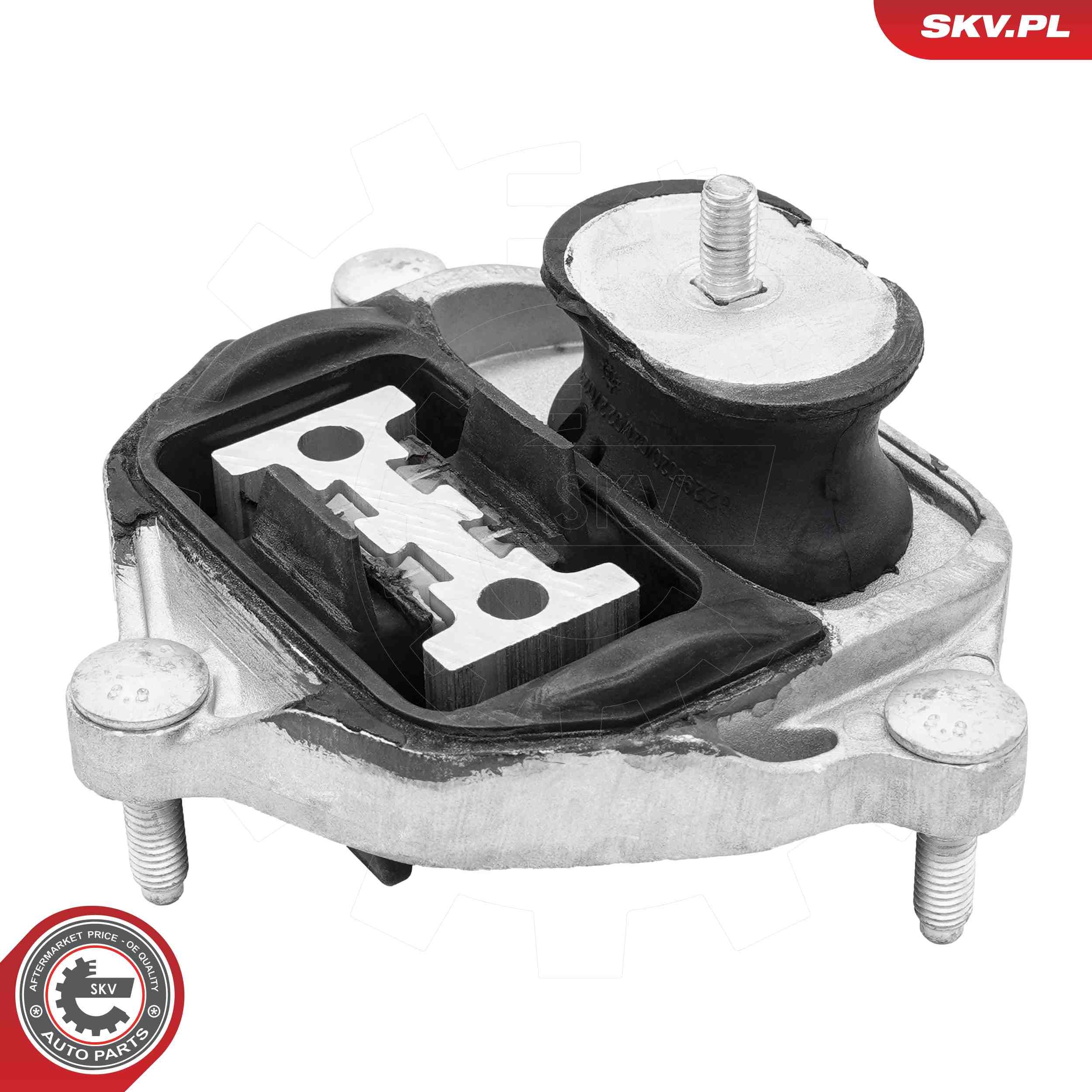 ESEN SKV 75SKV821 - Lagerung, Automatikgetriebe