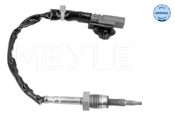 Sensor, Abgastemperatur
