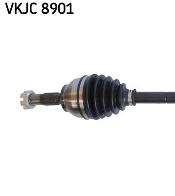 VKJC 8901_2.JPG