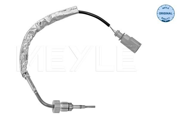 Sensor, Abgastemperatur