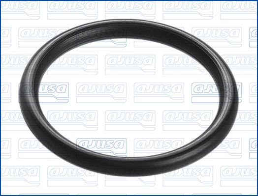 Junta anular, manguera de admisión (caja de filtro de aire)