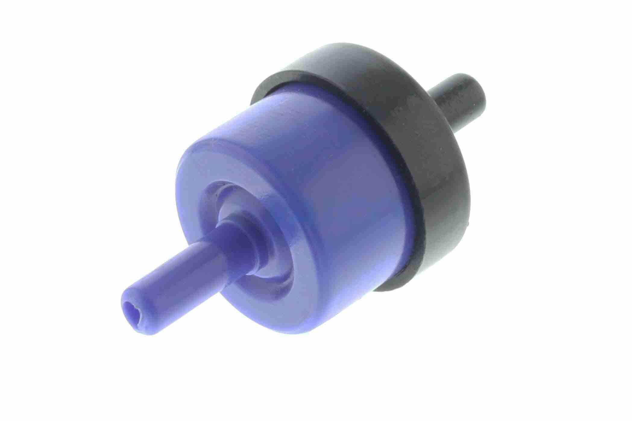 V10-9731_67.JPG