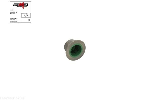 Dichtring, Ventilschaft