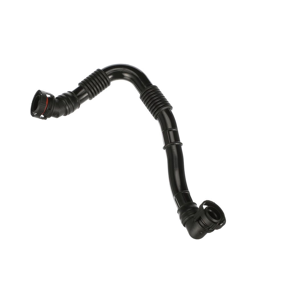 žarna, karterio alsuoklis