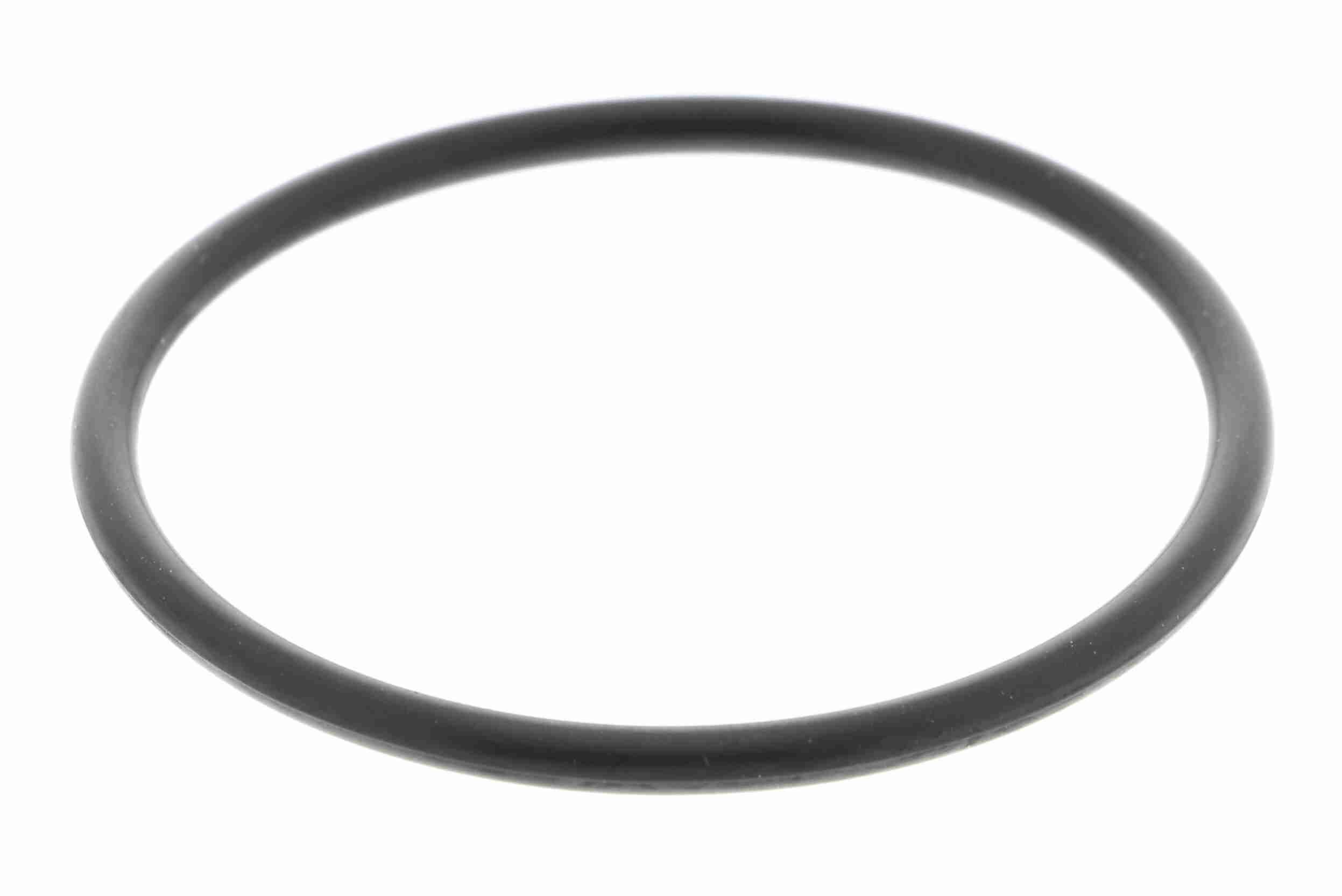 Dichtung, Thermostat