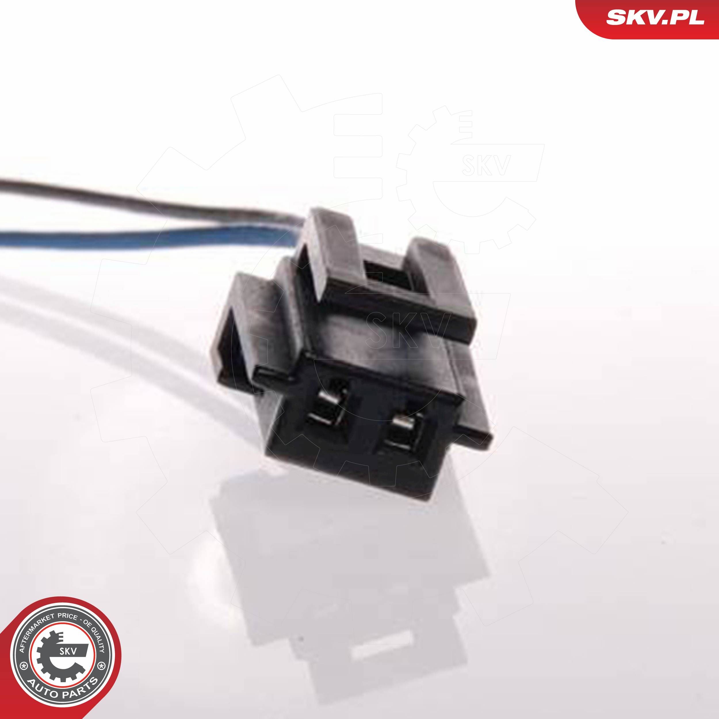 ESEN SKV 02SKV213 - Kraftstoffpumpe