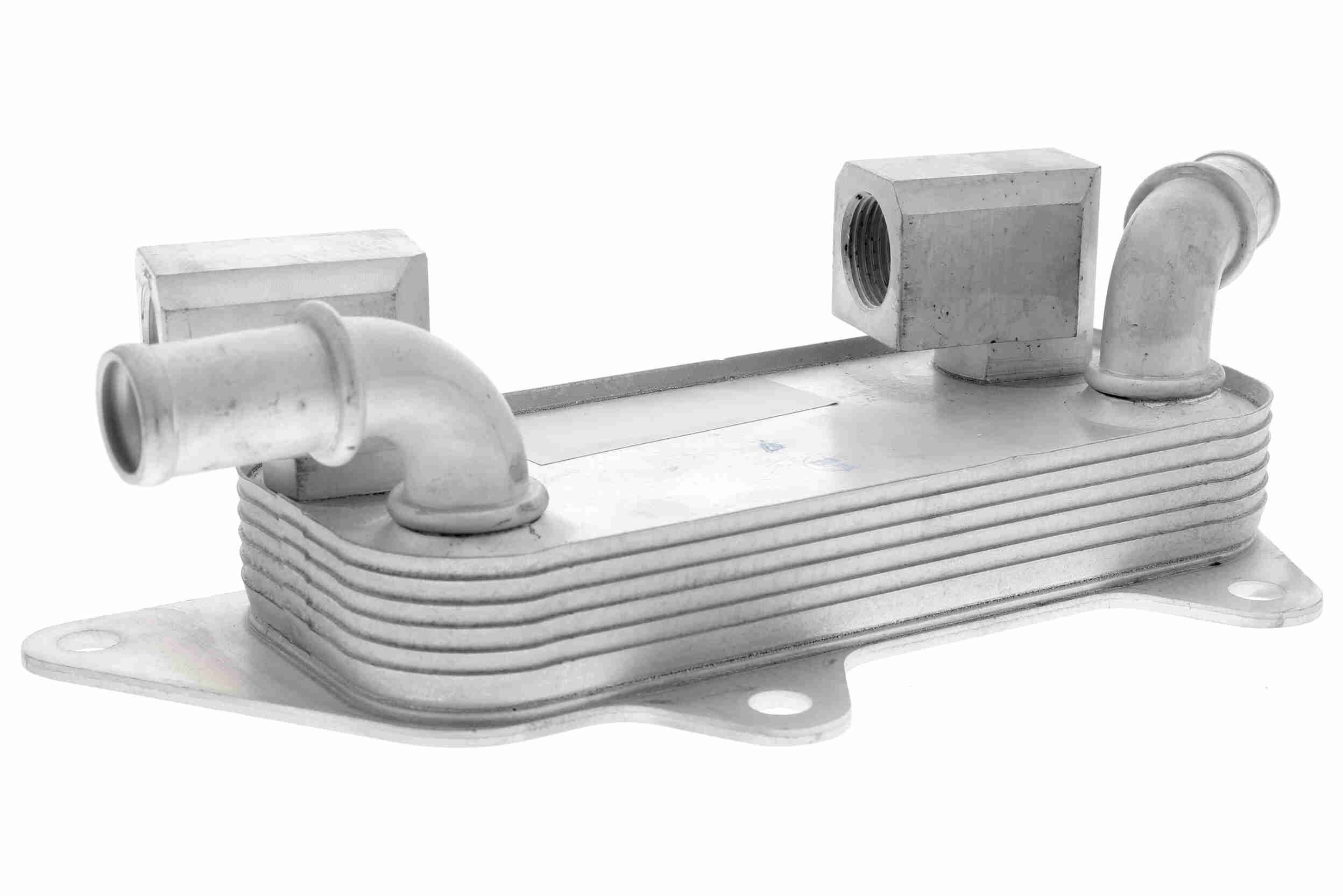 &Ouml;lk&uuml;hler, Motor&ouml;l