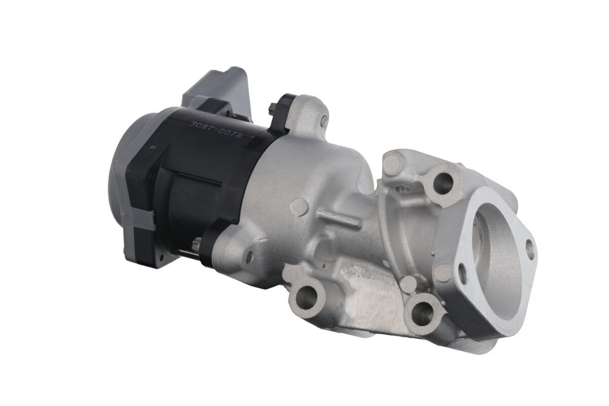 EGR VALVE_700410_03.JPG