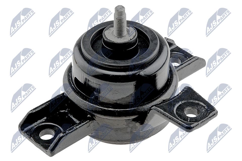 NTY ZPS-KA-325 Lagerung, Motor