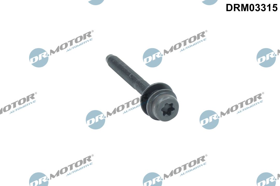 Dr.Motor Automotive DRM03315 Screw, injection nozzle holder