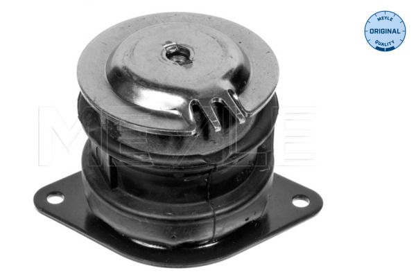 FS_1001990109_1.JPG
