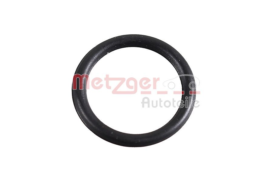METZGER 2430028 Seal Ring, charger