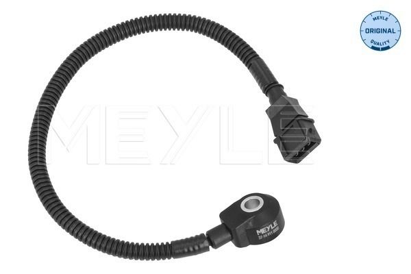 Klopfsensor