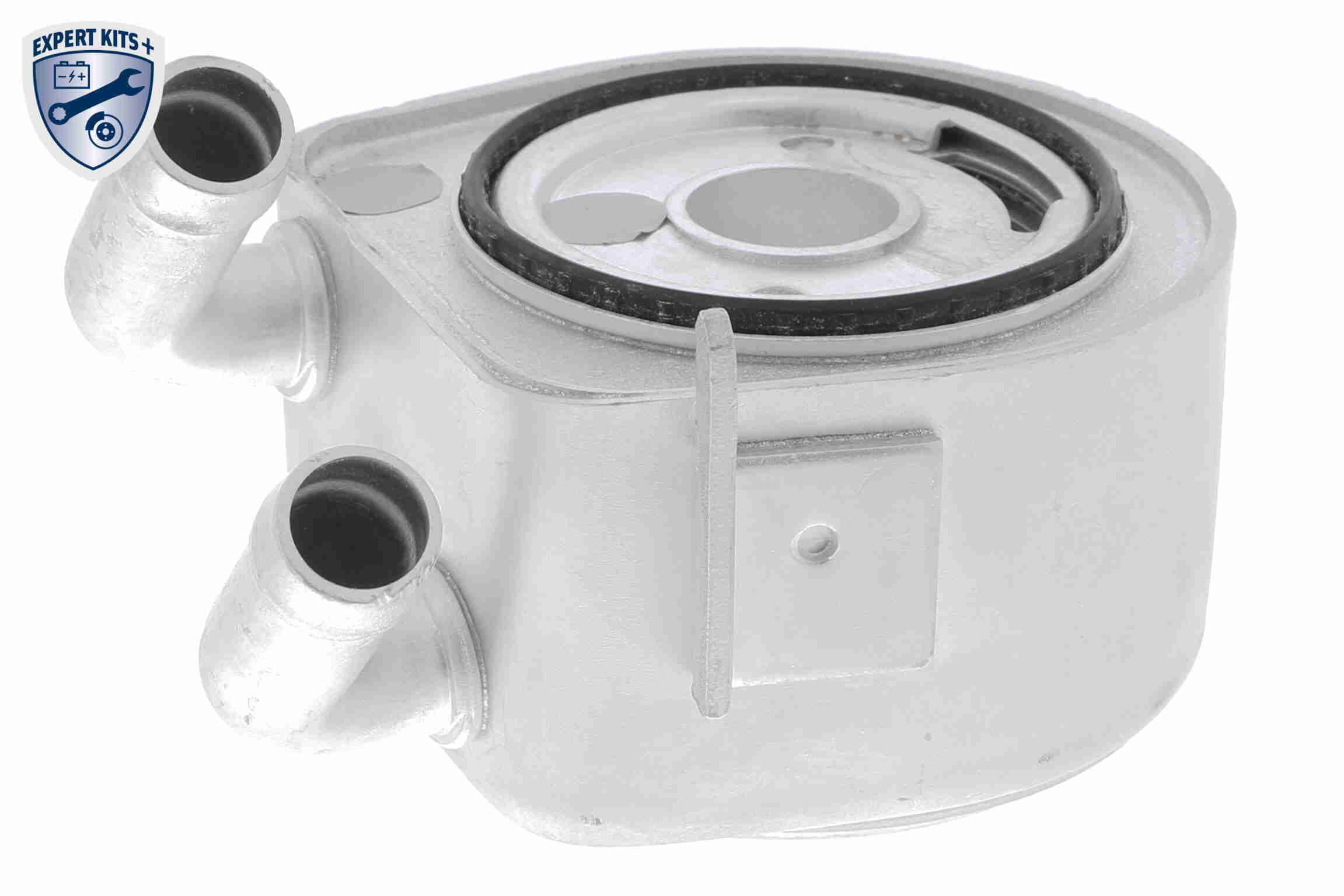 &Ouml;lk&uuml;hler, Motor&ouml;l