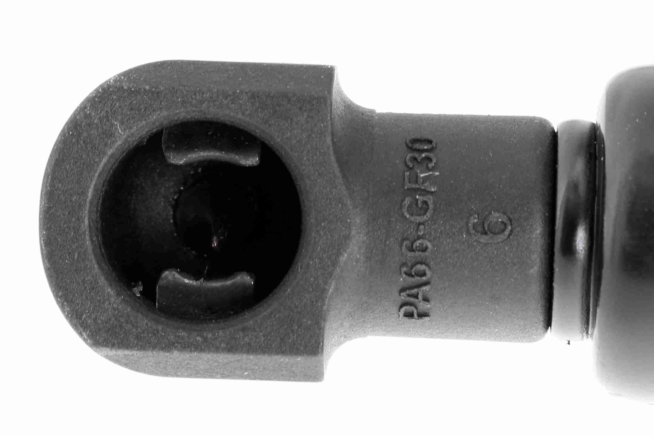 Gasfeder, Koffer-/Laderaum