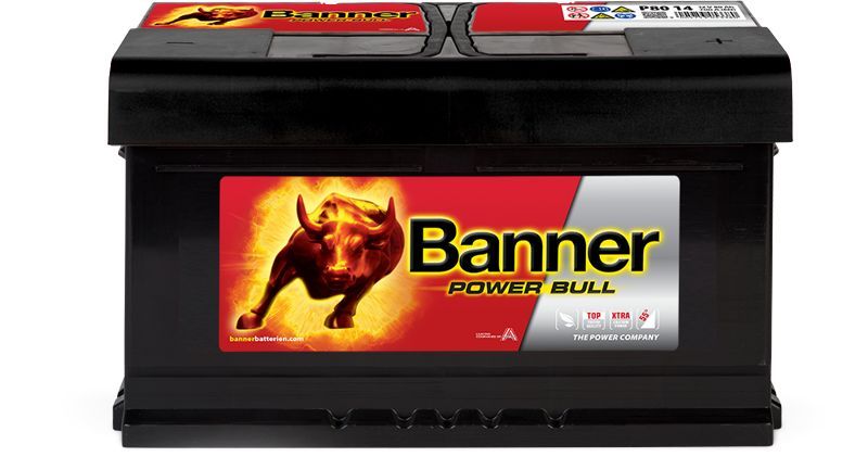 Starterbatterie