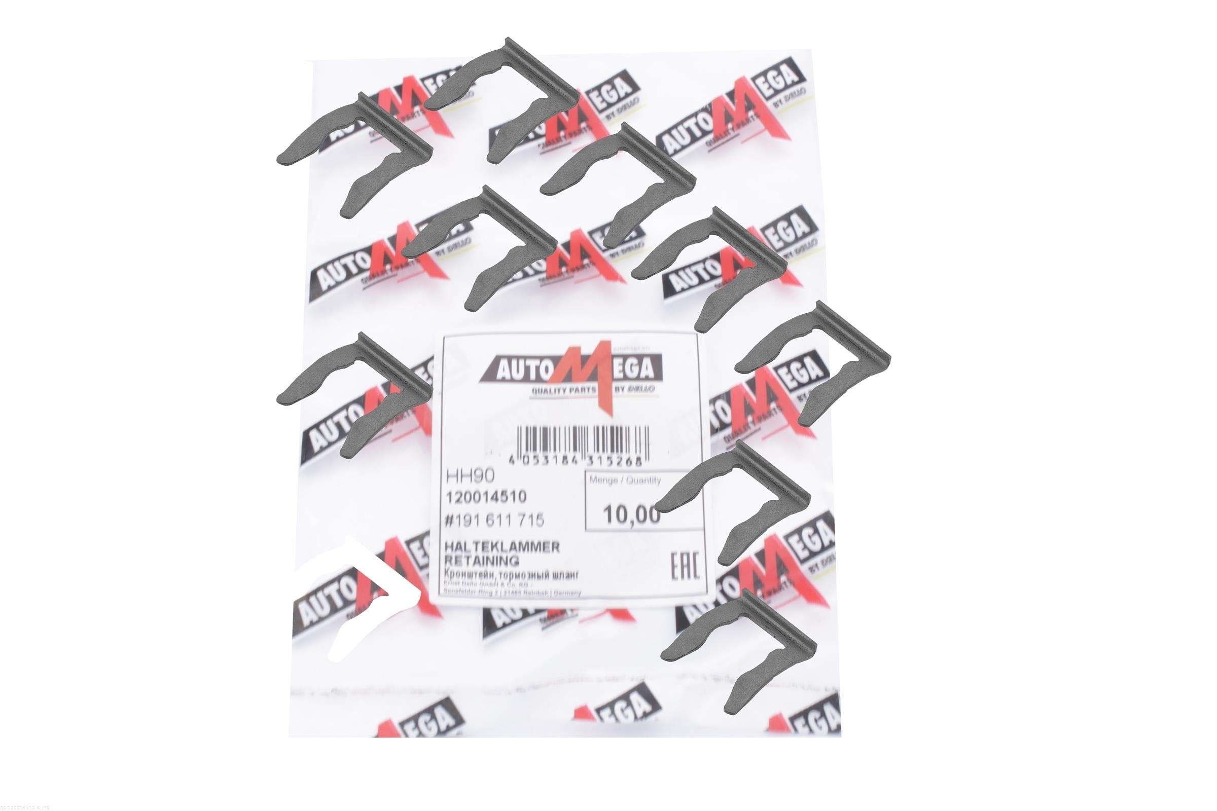 Halter, Bremsschlauch