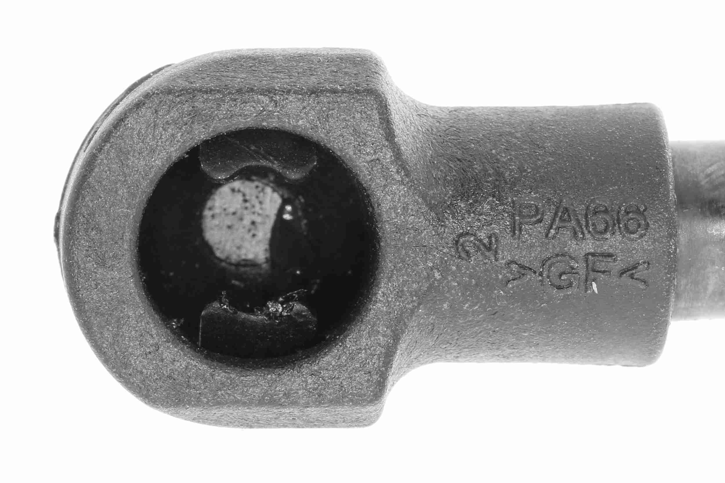 Gasfeder, Koffer-/Laderaum